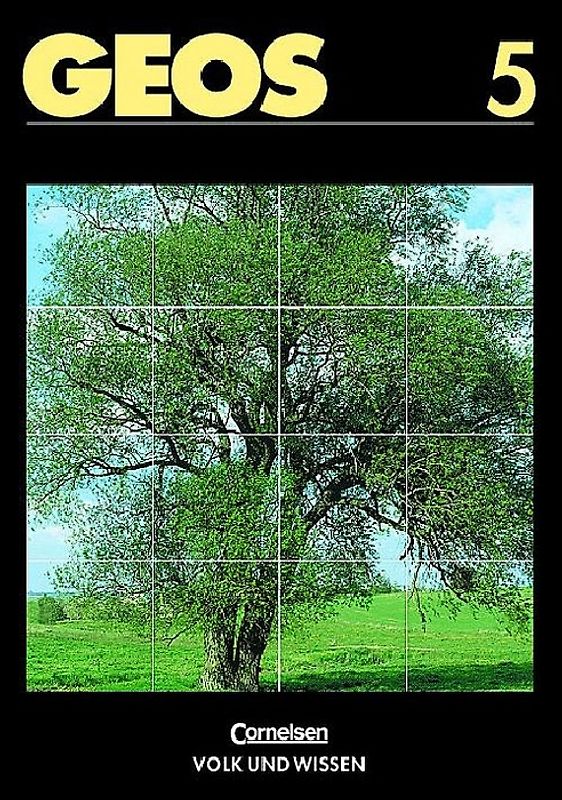 GEOS / Globale Probleme