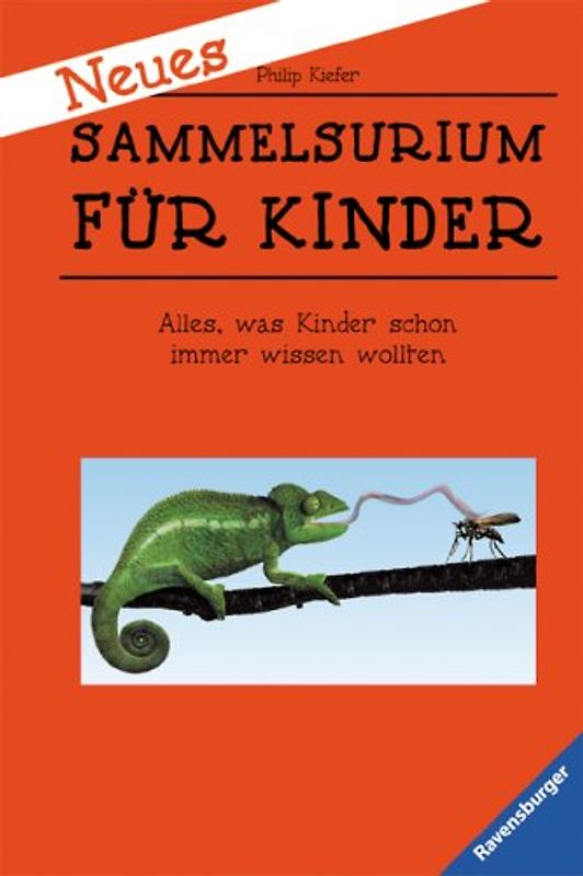 Neues Sammelsurium für Kinder