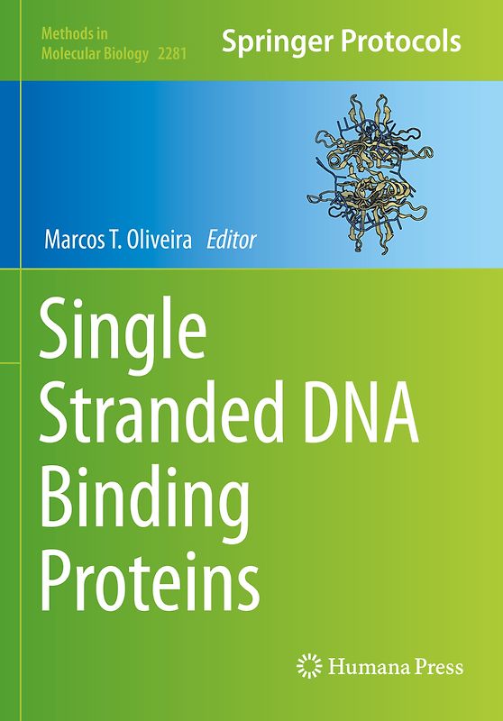 Single Stranded DNA Binding Proteins