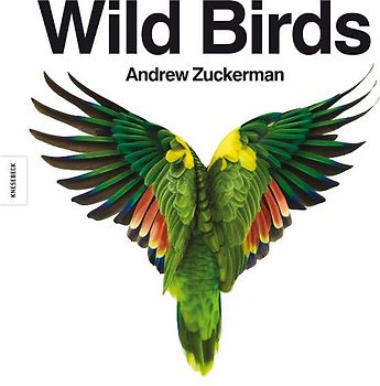 Wild Birds