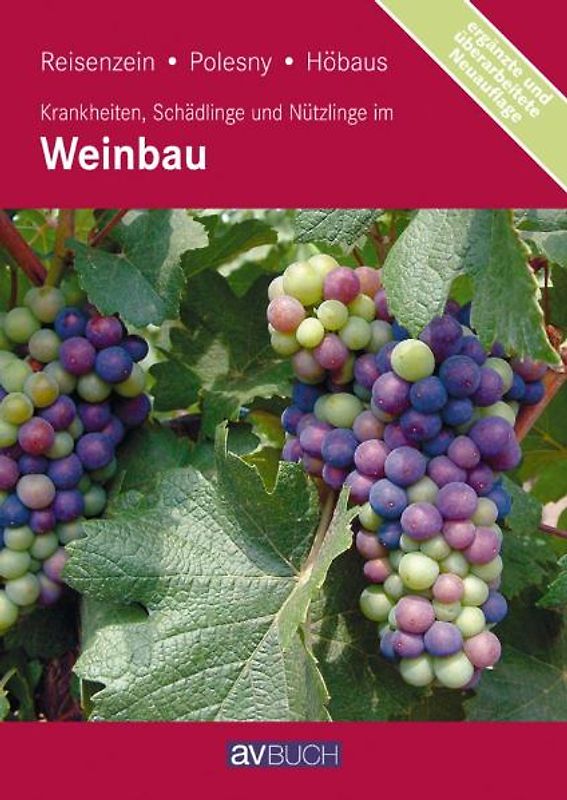 Krankheiten, Schädlinge und Nützlinge im Weinbau