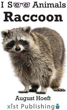 Raccoon