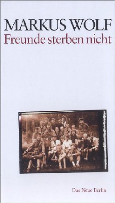 Freunde sterben nicht. Autobiographische Geschichten