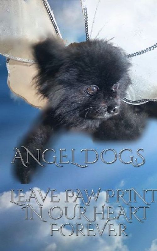 Angel Dog in Heaven