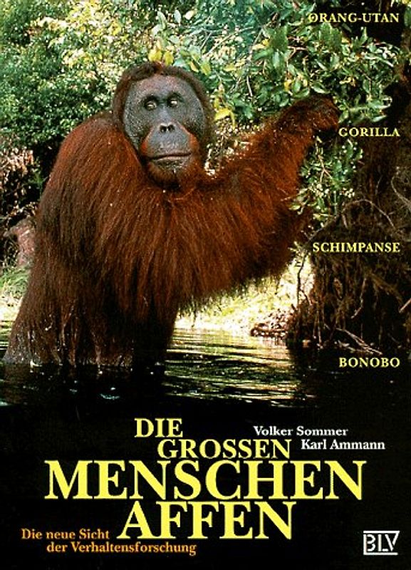 Die Grossen Menschenaffen. Orang-Utan, Gorilla, Schimpanse, Bonobo. Die neue Sicht der Verhaltensforschung
