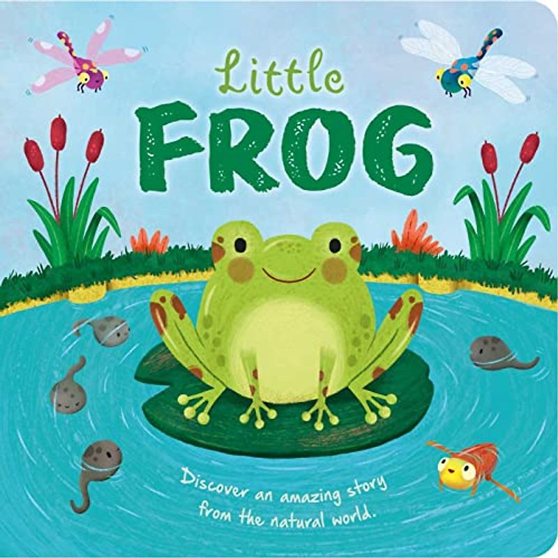 Little Frog: Padded Board Book (Nature Stories)