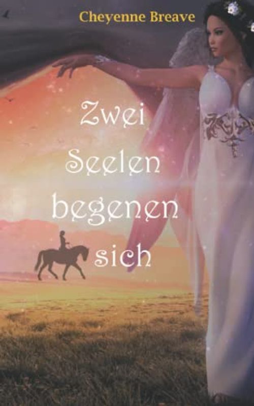 Zwei Seelen begegnen sich: Wahre Geschichte mit Fantasy