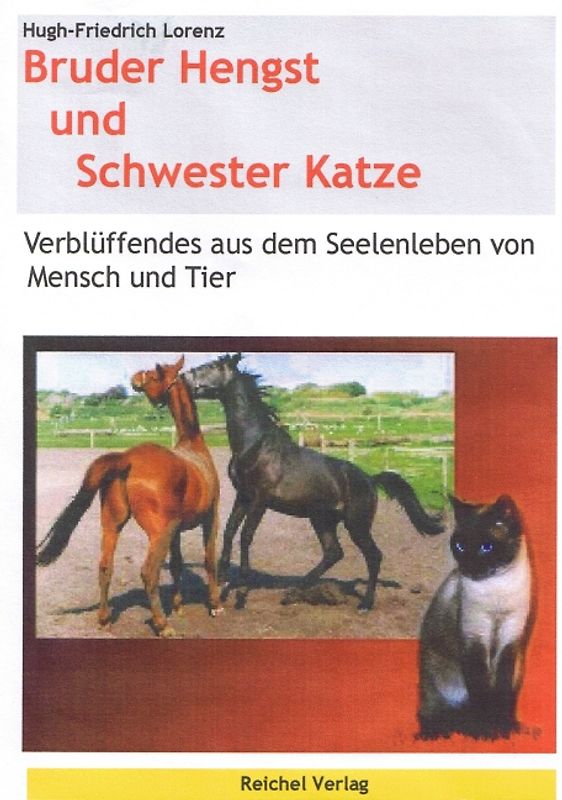 Bruder Hengst und Schwester Katze