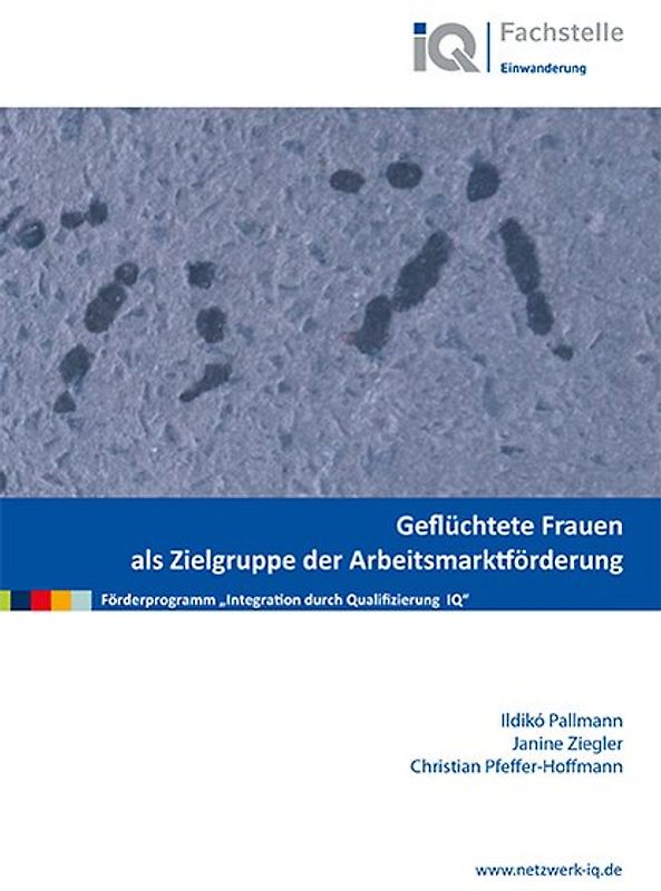 Geflüchtete Frauen als Zielgruppe der Arbeitsmarktförderung
