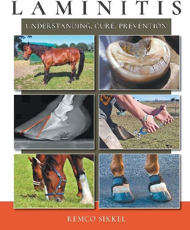 Laminitis