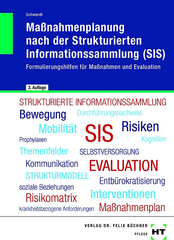 eBook inside: Buch und eBook Maßnahmenplanung nach der Strukturierten Informationssammlung (SIS)