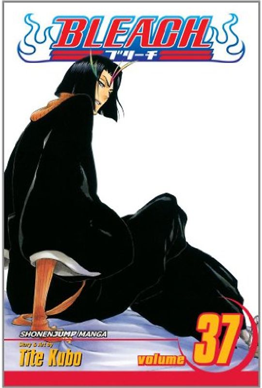 Bleach, Vol. 37 - Tite Kubo