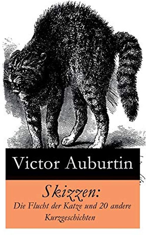 Skizzen: Die Flucht der Katze und 20 andere Kurzgeschichten