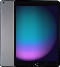 Apple iPad 10,2 256 Go [Wi-Fi, modèle 2021] gris sidéral