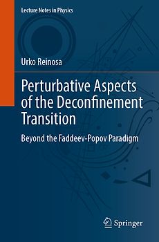 Perturbative Aspects of the Deconfinement Transition