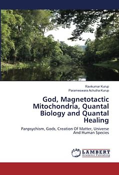 God, Magnetotactic Mitochondria, Quantal Biology and Quantal Healing