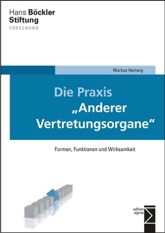 Die Praxis »Anderer Vertretungsorgane«