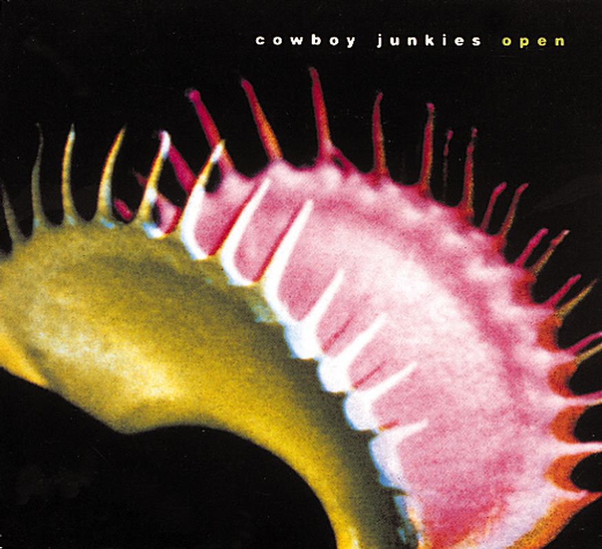 Cowboy Junkies - Open