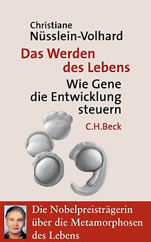 Das Werden des Lebens