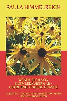 WENDE DICH VON ENERGIERÄUBERN AB - GIB BURNOUT KEINE CHANCE: LASSE JETZT DEINEN ANTRIEBSMOTOR IMMER HOCHTOURIG LAUFEN