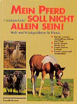 Mein Pferd soll nicht allein sein