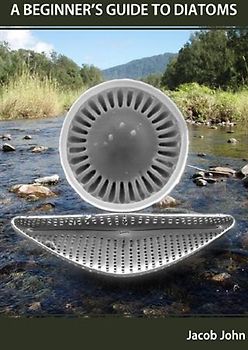 A Beginner's Guide to Diatoms