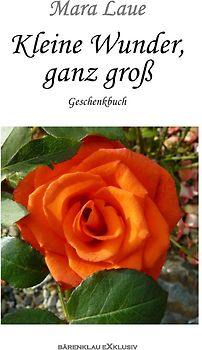 Kleine Wunder, ganz groß – Ein Geschenkbuch