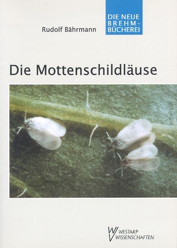 Die Mottenschildläuse – Aleyrodina