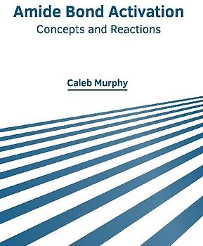 Amide Bond Activation: Concepts and Reactions