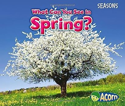 What Can You See in Spring?
