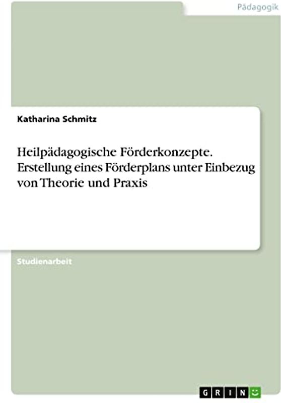 Heilpädagogische Förderkonzepte. Erstellung eines Förderplans unter Einbezug von Theorie und Praxis