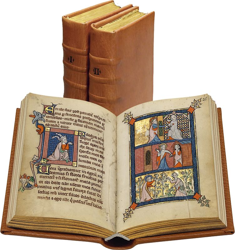 Die Rothschild Canticles