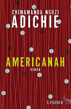 Americanah. Roman