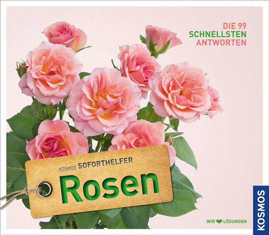 Soforthelfer Rosen