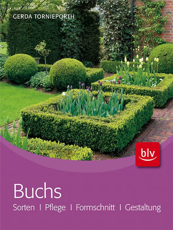Buchs