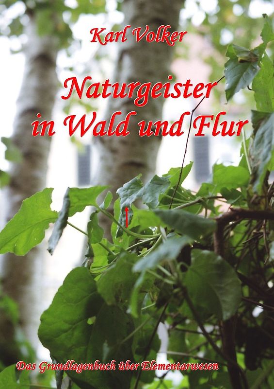 Naturgeister in Wald und Flur