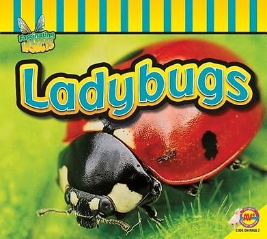 Ladybugs