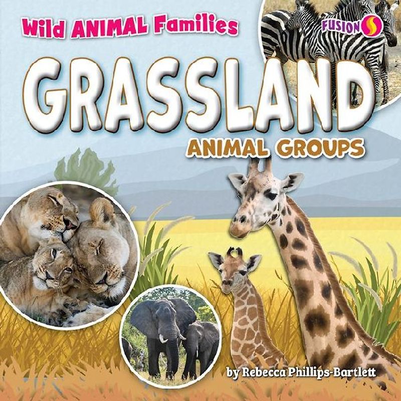 Grassland Animal Groups
