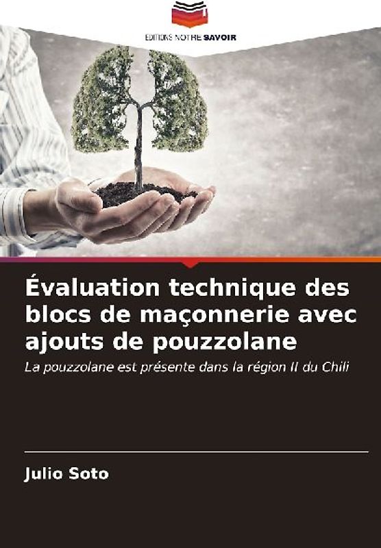 Évaluation technique des blocs de maçonnerie avec ajouts de pouzzolane