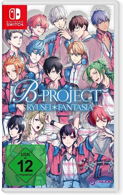 B Project Nintendo Switch