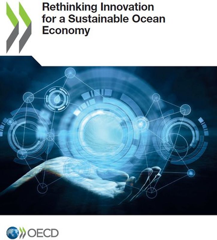 Rethinking Innovation for a Sustainable Ocean Economy
