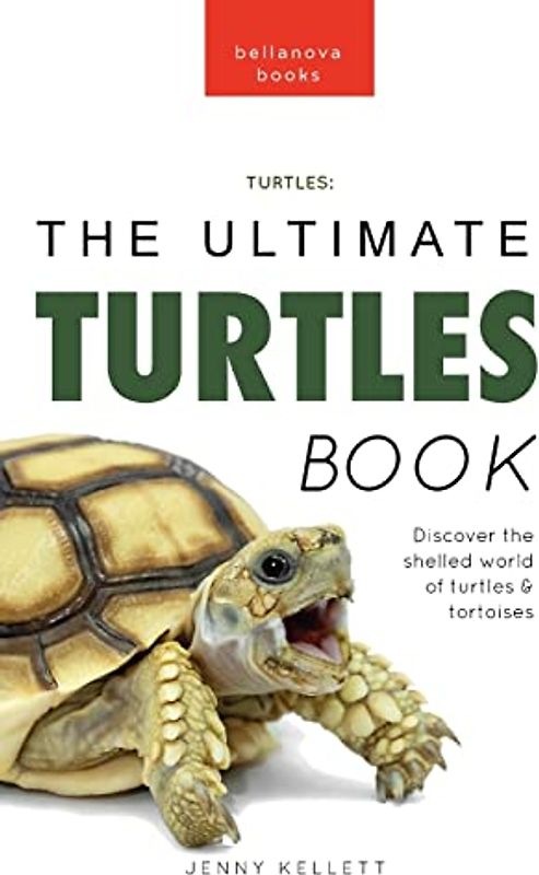 Turtles The Ultimate Turtles Book: Discover the Shelled World of Turtles & Tortoises (Animal Books for Kids, Band 36)