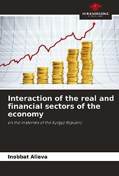 Interaction of the real and financial sectors of the economy