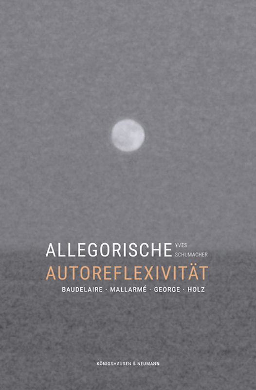 Allegorische Autoreflexivität