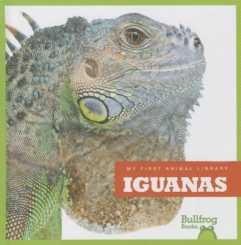 Iguanas