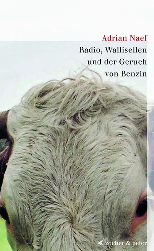 Radio, Wallisellen und der Duft von Benzin