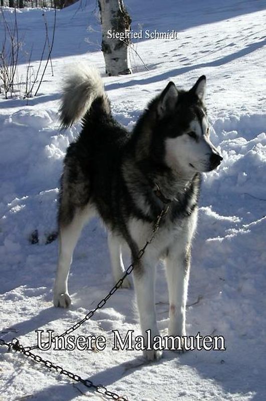 Unsere Malamuten
