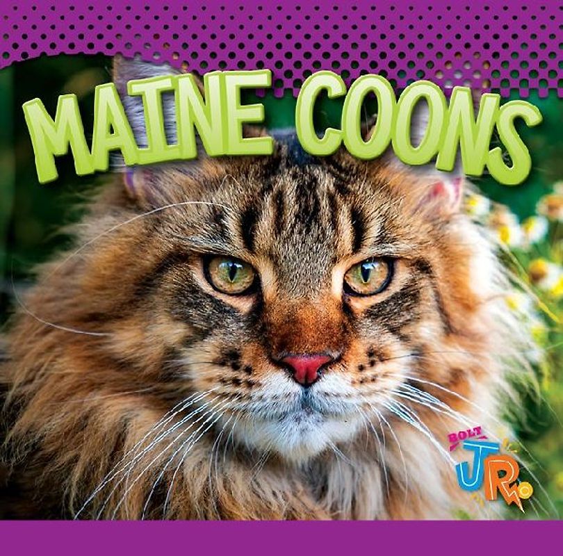 Maine Coons