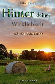 Die Heiler-Trilogie / Hinter deiner Wirklichkeit