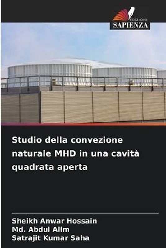 Studio della convezione naturale MHD in una cavità quadrata aperta